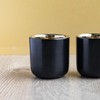 La Cafetière Double Walled Ceramic Espresso Mugs, Set of Two,