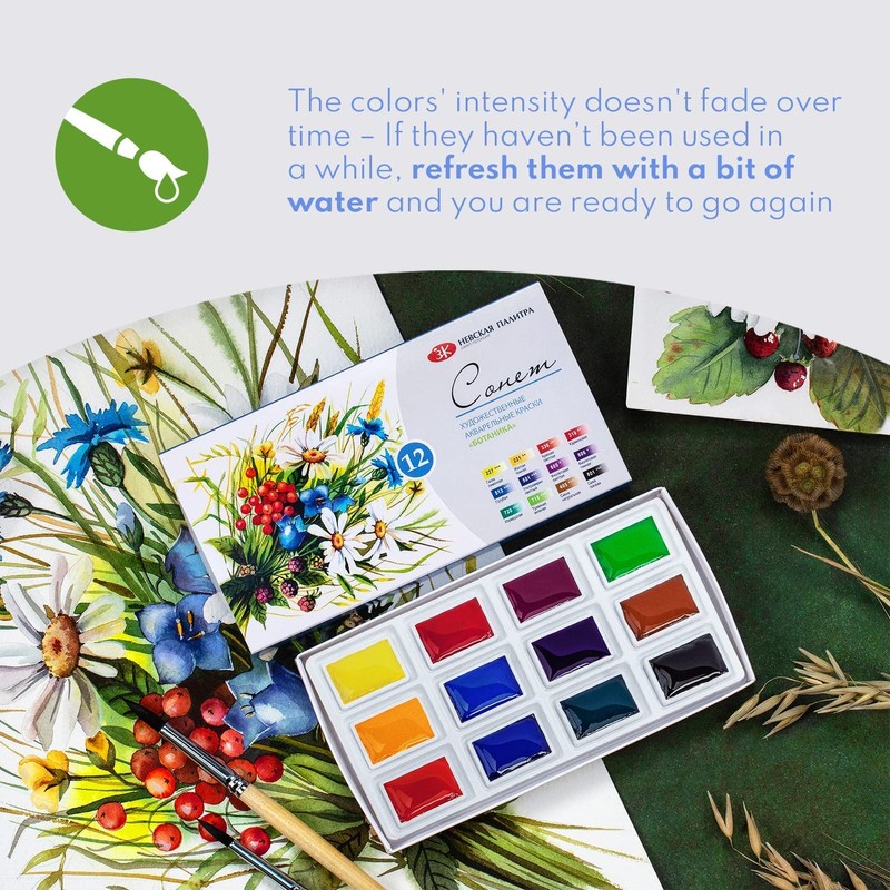Sonnet Watercolour Paint Set, 12 Watercolour Paints for Floral &