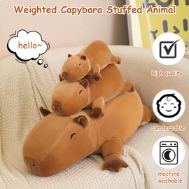 SQEQE Capybara Peluche con peso, Capybara con peso para la ansiedad, lindo capybara peluches suaves de Capybara para regalo para niños y adultos, 13.8 pulgadas, 1.5 libras