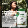 fairvital PEA 400 mg, 90 Capsules, Palmitoylethanolamide, For 3 Months,