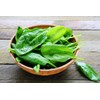 Large Leaved Spinach Matador 100+ Non-GMO Seeds for Planting
