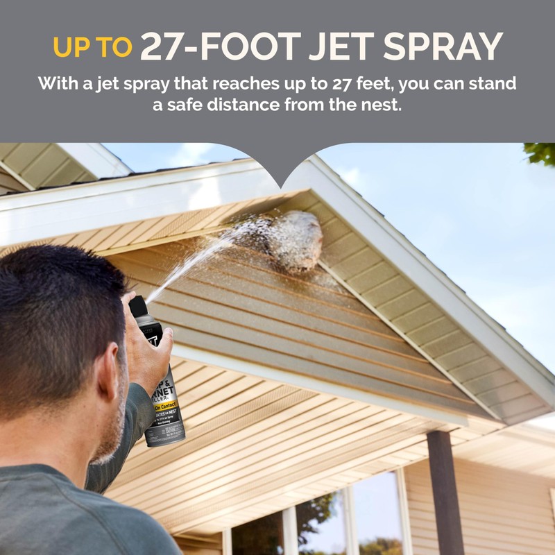 Hot Shot Wasp And Hornet Killer 17.5 Ounces, Bonus Size,