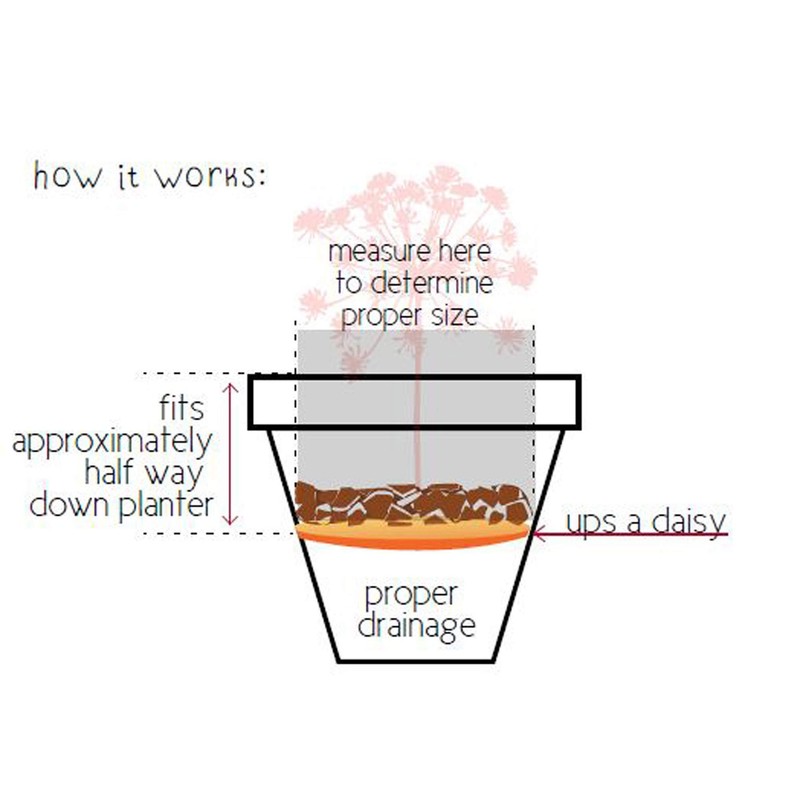Bloem Plntr Insrt 11"" Upsadaisy