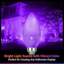 2 Pack BlueX LED Purple Light Bulb - 4W (40Watt Equivalent) - E12 Base Purple LED Bulb, Party Decoration, Porch, Home Lighting, Holiday Lighting, Chandelier Light Bulbs, Candelabra Bulbs