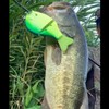 Daiwa Gradient 147F Bass Lure