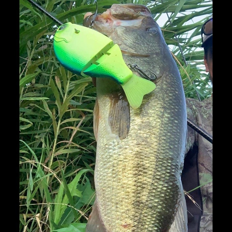 Daiwa Gradient 147F Bass Lure