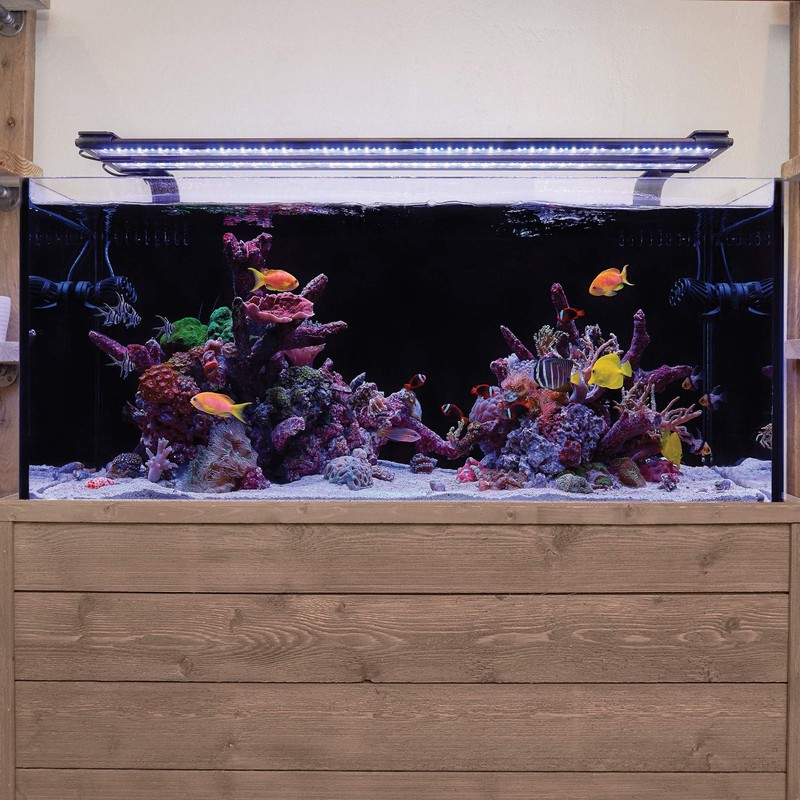 CURRENT USA Dual Adjustable Aquarium Light Arm Mount Kit