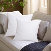 ANT-HOME 20"x20" Pillow Inserts Soft Feather Pillow Set of 2