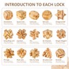 VolksRose 15pcs Wooden Brain Teaser Puzzles, IQ Challenge Puzzle Games,
