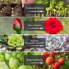 LED Grow Light for Indoor Plants, Grow Lights 80W Full