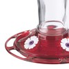 More Birds Bird Health+ Ruby Hummingbird Feeder, Glass Hummingbird Feeders