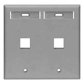 Leviton 42080-2GP 2-Port Dual Gang QuickPort Wallplate with ID Windows, Grey