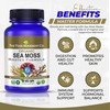 THE FOOD MOVEMENT CO. Sea Moss Master Formula with Burdock