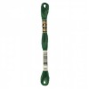 DMC  DMC Embroidery Floss Color Very Dark Hunter Green #895