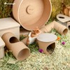 Niteangel Creative & Composable Hamster Tunnel - DIY & Build