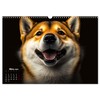 Hunde Porträts (Wandkalender 2026 DIN A3 quer), CALVENDO Monatskalender