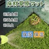 Active Island Reptile Flooring Mat Thermal Moisturizing Sheet Breeding Green