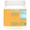 Wellah Pump-It-Up Creatine (100 Servings, Pineapple Mango) - Creatine Monohydrate