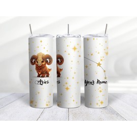 Mugzan ARIES Zodiac Stainless Steel Skinny 20 Oz Tumbler With Lid & Straw by Mugzan
