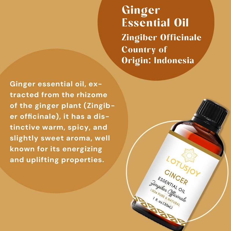 LOTUSJOY Ginger Essential Oil for Hair Growth Lymphatic Drainage Massage