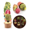 L 7pcs Pequeño Cactus Miniatura Suculentas Plantas Decora Z