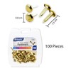 BAZIC Brass Plated Fasteners 1/2 Inch, Round Head Paper Fastener