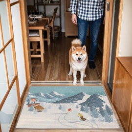 LUMI Art Doormat, Luxury Non-Slip Door Mat, Washable Skiing Rug, Entryway Rug, 18x30