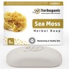 HERBOGANIC Sea Moss Herbal Soap | Natural Bar Soap for