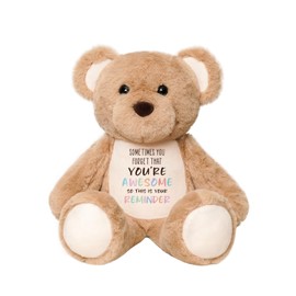 Teddy Bear Stuffed Animal Plushies - Sometimes You Forget Your Awesome Gifts, Soft Stuffed Animals Plush Toys, Inspirational Thank You Christmas Birthday Gifts for Women Kids Toddler Sister Friend 15"