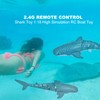 Robot Shark Remote Control Whale Shark RC Speed Boat Radio