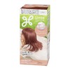 Liese Bubble Color Sugar Pink Hair Color for Black Hair