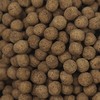 조은약초 우슬 닭발 환, 300g, 2개 Joheun Herb Usul Chicken