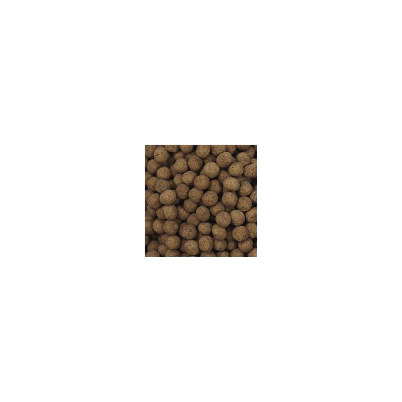 조은약초 우슬 닭발 환, 300g, 2개 Joheun Herb Usul Chicken