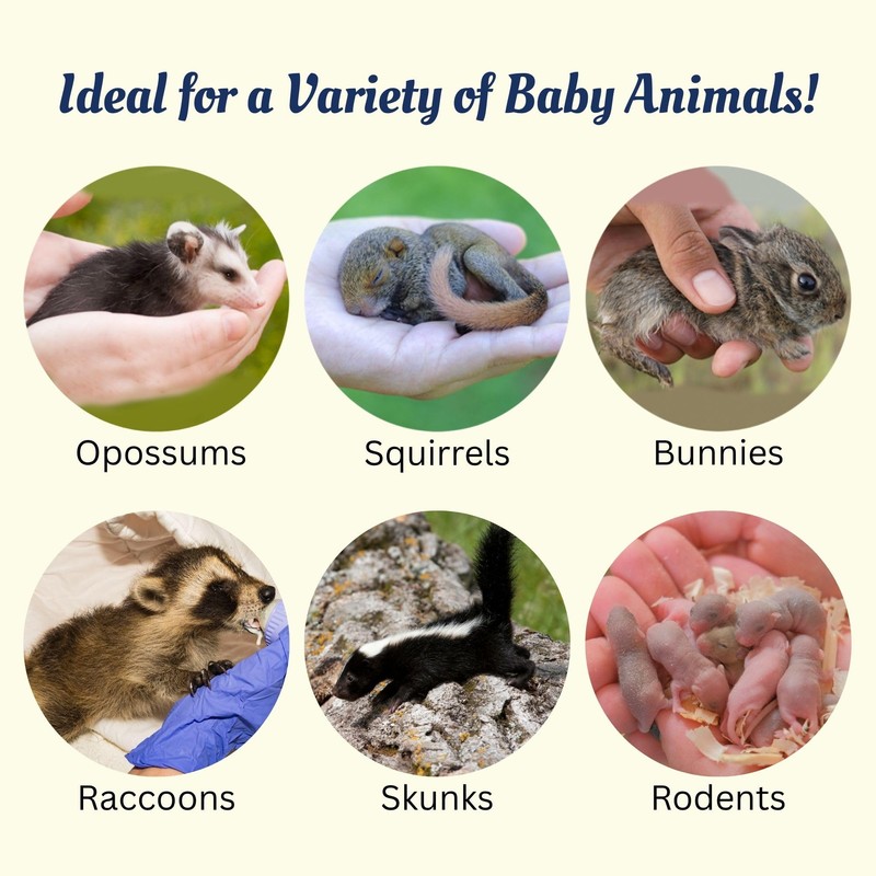 Exotic Nutrition Baby Animal Nursing Set (Basic) - Milk Replacer