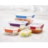 Joseph Joseph Nest Lock Plastic BPA Free Food Storage Container