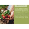 Old Cobblers Farm Organic Asparagus & Strawberry Fertilizer | Boost