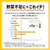 Kagome Yasai Ichinichi Kore Ippon Vegetable for One Day Vegetable