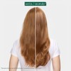 Biolage Shampoo ColorLast con Extracto de Orquídea | Limpia, Protege