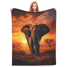 amepay Elephant Prairie Sunset Blanket Gifts for Adults Women Soft Fuzzy Lightweight Flannel Throw Blankets for Home Decor Couch Bed Sofa 60x50 Inches
