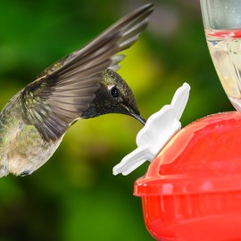 Hummingbird Feeders Replacement Flowers, 30 Sets Hummingbird Feeder Flowers Multicolor Replaceable Hummingbird Bird Feeder Flower Accessories Replacement Feeding Port Flowers (White)