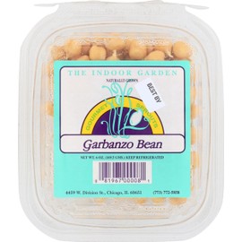 Chicago Indoor Gardens Garbanzo Bean Sprouts, 6 OZ