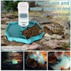 Hyran Turtle Water Dispenser, Turtle Water Bowl and Feeding Basin,