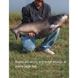 Facikono Saltwater Fishing Circle Hooks Catfishing Tackle, 100-Pack Octopus Offset Hooks for Catfish Bass Trout Walleye