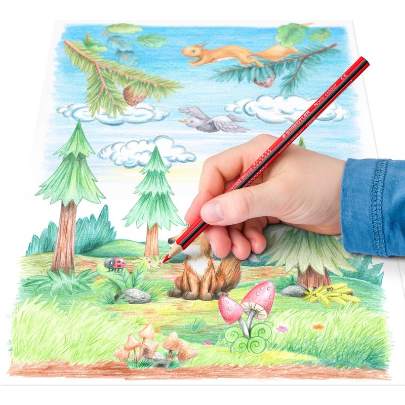 STAEDTLER 187 C18P1 Noris Colour Colouring Pencil: Increased Resistance To
