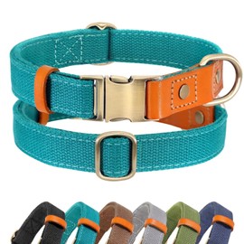Didog Durable Dog Collars, Adjustable Pet Collars with Metal Buckle for Small Medium Large Dogs, Teal, L
