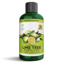 Leaves and Soul Professional Lime Tree Fertilizer Liquid Concentrate - 6-4-6 Blend for Fruit Tree Fertilizer, Garden - Liquid Plant Food for Lime Trees in Pots or Outdoors - 8oz