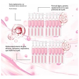 Cg Suero De Un Da Rosa Pdrn Con Adn De Salmn