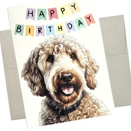 Labradoodle Birthday Card, Dog Birthday Card (1 Premium Folded Card, Blank Inside, 5X7 Inch) cute doodle birthday card from dog for men and women - 853
