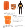 Six Pad Compatible with Abs Fit Gel Sheets (Abs Only),
