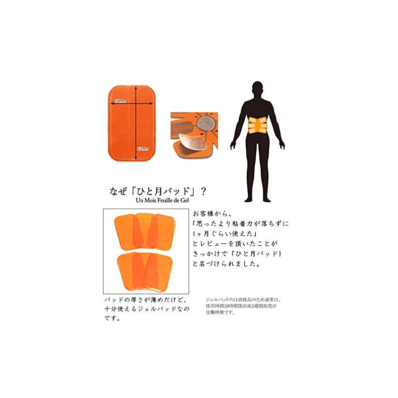 Six Pad Compatible with Abs Fit Gel Sheets (Abs Only),